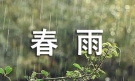 春雨贵如油作文（通用39篇）