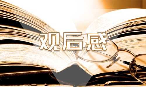 《开学第一课》初二满分观后感600字