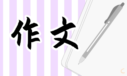 六年级我爱读书精彩作文六百字