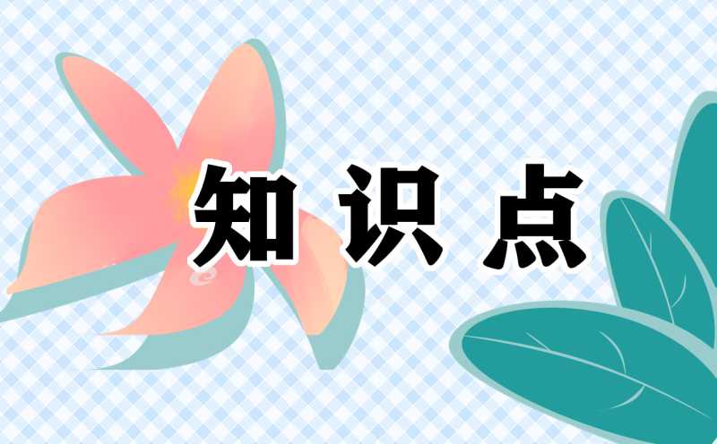 2021中考人教版九年级上册物理知识点