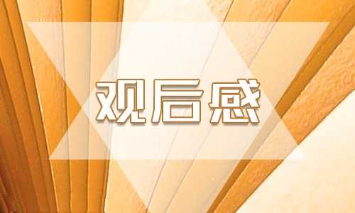 《闪亮的名字》主题初三观后感