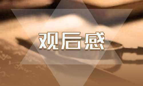 《边城》小说优秀观后感作文700字