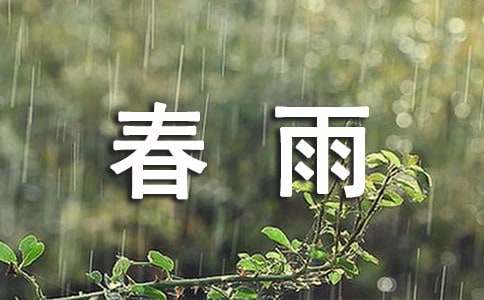 绵绵的春雨作文通用7篇