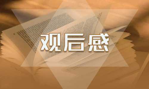 交通安全作文观后感范文400字