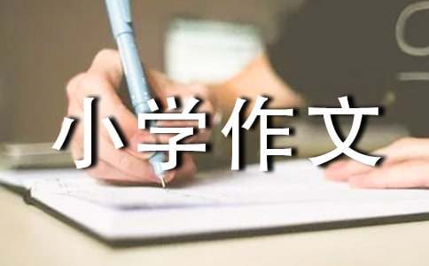 未来的我小学作文15篇