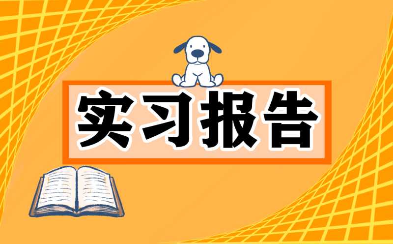 中专学生实习报告通用10篇