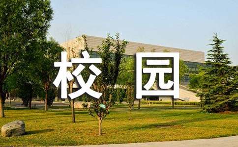 关于中小学校园文化标语