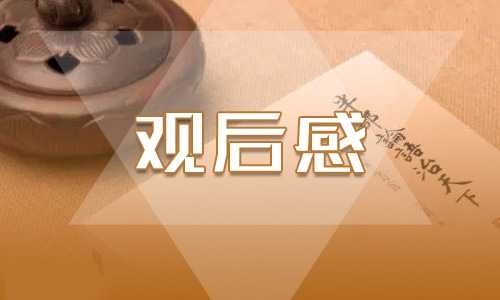 好先生观后感范文五篇