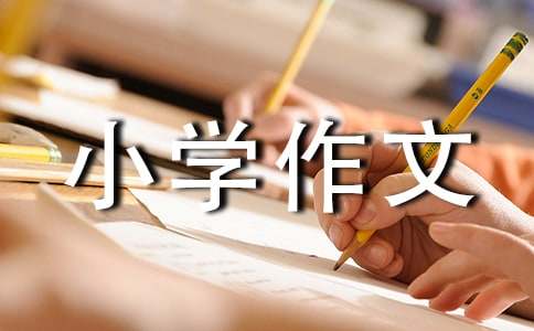 我最敬佩的一个人小学作文通用15篇