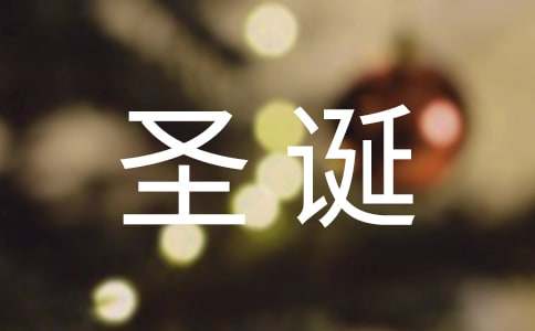 【推荐】三年级圣诞作文300字锦集6篇