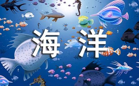 走向海洋读后感作文