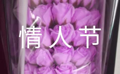 情人节日记800字