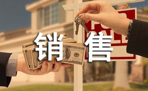 关于销售员社会实践报告范文