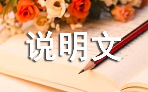 说明文的作文400字集合5篇