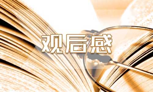 2022脱贫攻坚剧山海情观后感个人感想800字