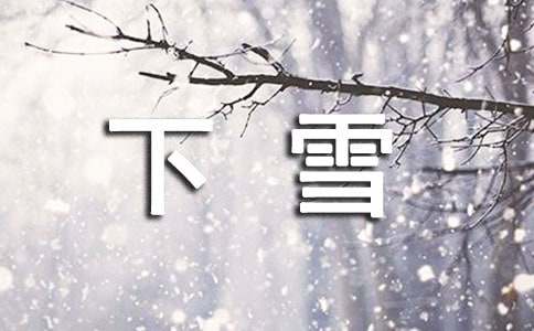 哦，下雪了作文