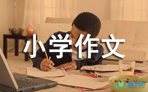 我爱我家的小学作文400字