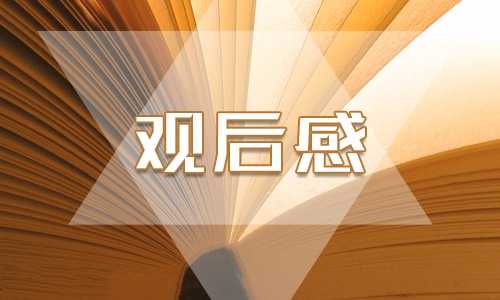 名著《海底两万里》观后感作文500字