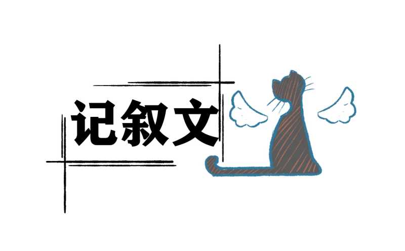 元宵节记叙文600字以内