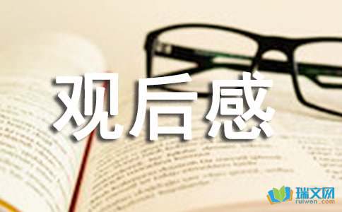 七七事变观后感800字「精选」