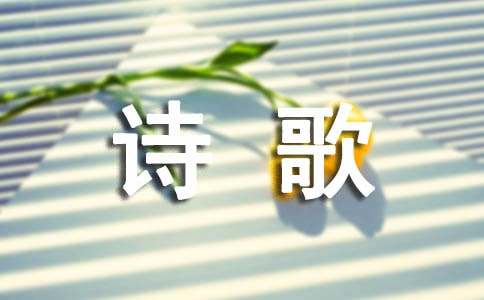 现代随笔诗歌花开丛中