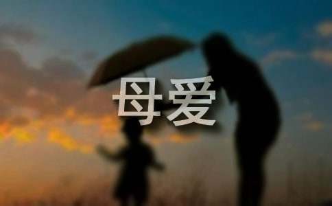 关于雨中的母爱的作文4篇