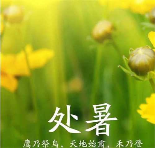 处暑节气标志着什么