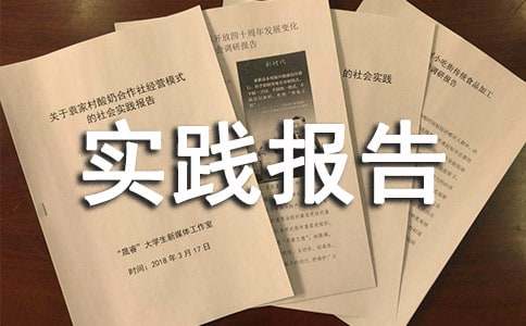 精选暑假社会实践报告书范例