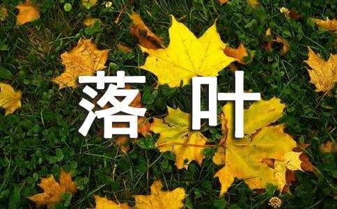 落叶散文中班教案（精选11篇）