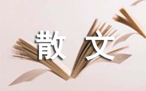 有关散文的作文300字集锦十篇