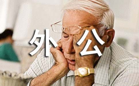 外公的菜园作文300字汇总5篇