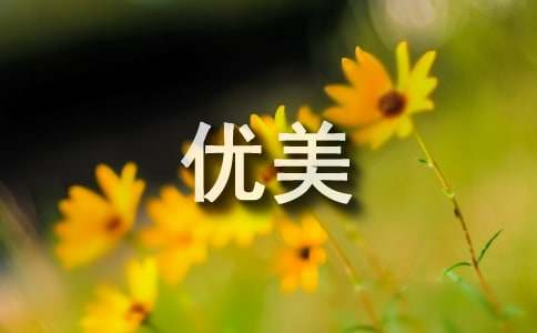 写景抒情优美散文500字左右