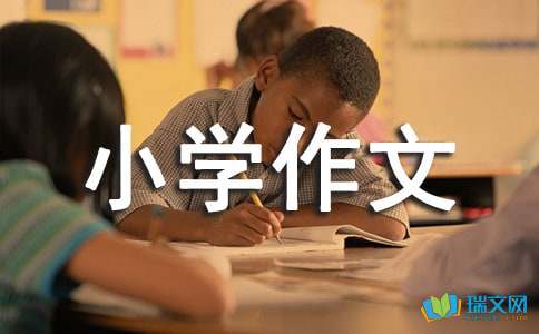 小学作文生活中的传统文化4篇