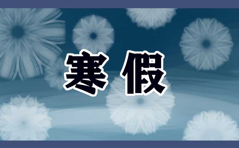 2022年寒假到了的感想作文1000字