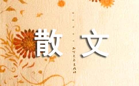 实用的散文的作文300字集合五篇