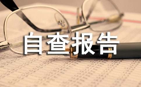 企业自查报告例文