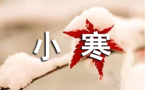 公司给客户的小寒祝福语汇总（通用50句）