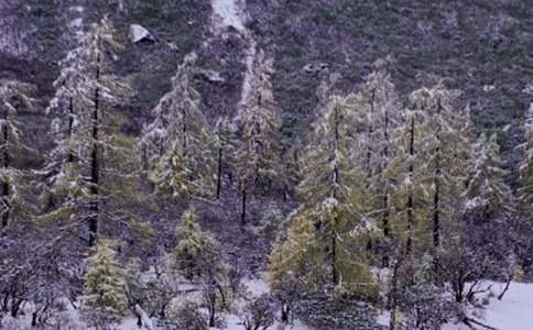 我爱下雪作文通用13篇