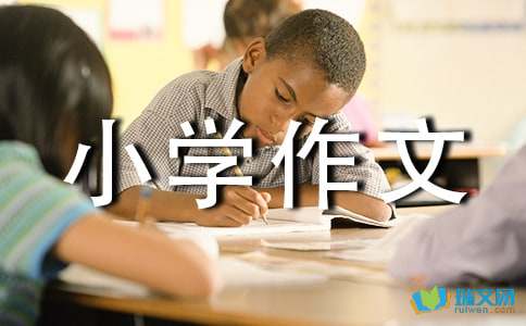 我爱我家的小院小学作文