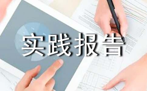 毛概社会实践报告结构