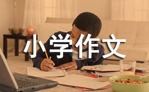 我爱我家小学作文900字