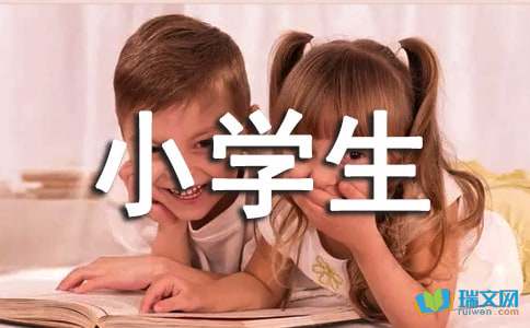 给远方小学生的一封信500字（精编）