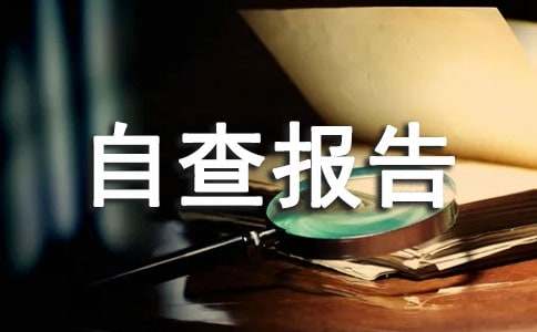 业务自查报告（材料）|业务|材料