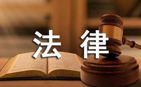 法律系寒假社会实践报告