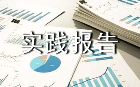 原创师范生暑假社会实践报告