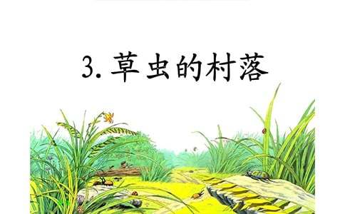 《草虫的村落》的课件