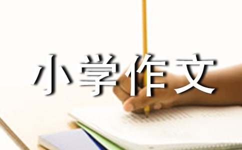 这就是我自己小学作文850字