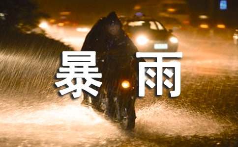 暴雨筛的读后感受