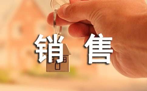 最新销售员社会实践实习报告