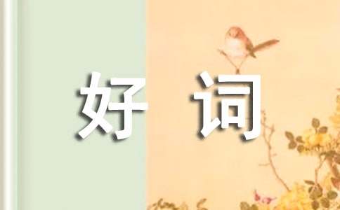 毛毛好词摘抄